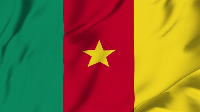 Cameroon country flag waving looping seamless with fabric texture for sport nation identity background