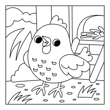 Coloring book for children with cute chicken and farm background with wooden chicken coop. Black and white outline illustration for preschool and kindergarten kids. Square printable worksheet