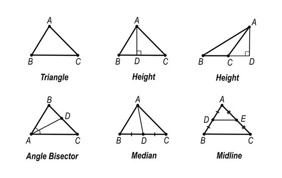 Geometric illustration showing the main triangle segments: altitudes, medians, angle bisectors, and midlines.