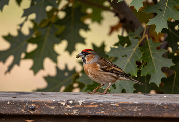 Naklejka premium Wildlife and nature conservation, small bird with food in beak on wooden surface with green leaves background