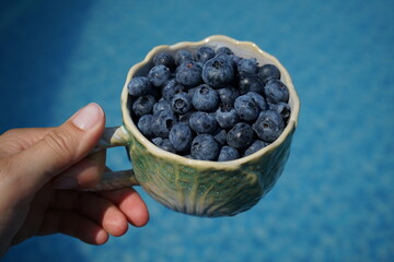 A mug filled with blueberries against the backdrop of a swimming pool. © Maria