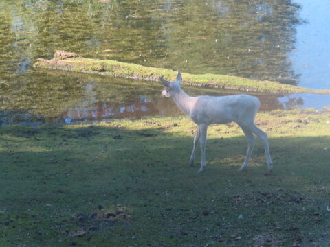 Zoo
