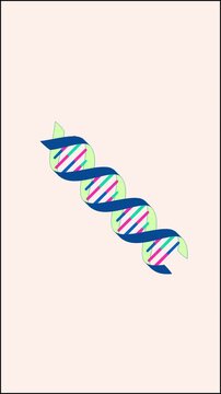 4K 2D DNA animation Looping Potrait