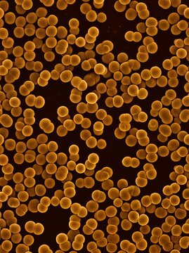 Detailed microscopic potrait of golden spherical bacteria cells providing a scientific texture for medical research backgrounds, educational materials, and healthcare marketing.