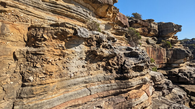 Sedimentary rock cliff face showing erosion and distinct strata layers with fossilized seashells, geological formations