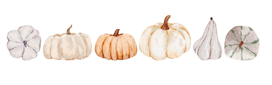 Fashionable autumn pumpkin illustrations with a crisp and golden color palette, perfect for fall graphics and holiday designs.