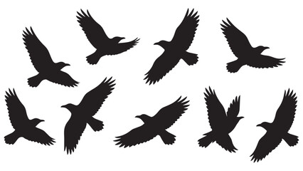 Fototapeta premium Set of Ten Black Silhouette Birds Flying in Various Dynamic Poses for Vector Design, Logo, Illustration, and Branding Projects