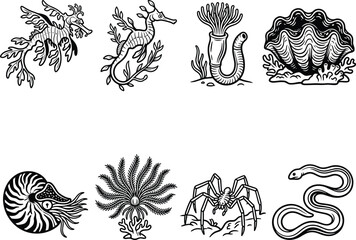 Fototapeta premium Marine Life Silhouette Vector Collection Featuring Ocean Animals and Sea Creature Illustrations Set