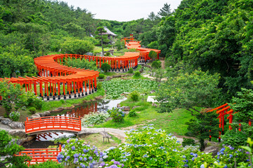 Fototapeta premium red wooden gate or torii at takayama inari shrine aomori japan are famous for a stunning path of hundreds of vermilion torii gates