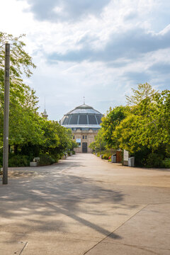 looking down path in French Paris city centre with domed building in distance with lush green trees lining the bright gravel path with clear blue skies overhead