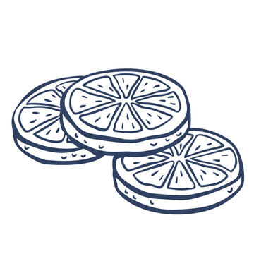 Lemon slices in naive hand drawn outline with round citrus segments. Menu, drink and packaging designs feature lemon slices, doodle vector illustration.