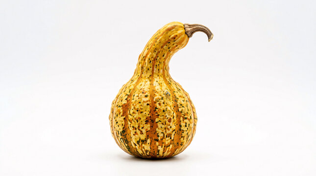 Gourd with a curved neck stands upright against a plain white background.