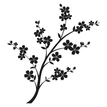 Cherry blossom branch silhouette, Japanese sakura floral element, black botanical branch on white background