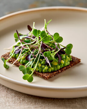 Spent grain cracker with avocado pearls and micro greens showcasing upcycled ingredient luxury appetizer and refined sustainable dining