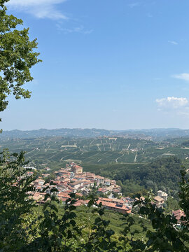 barolo
