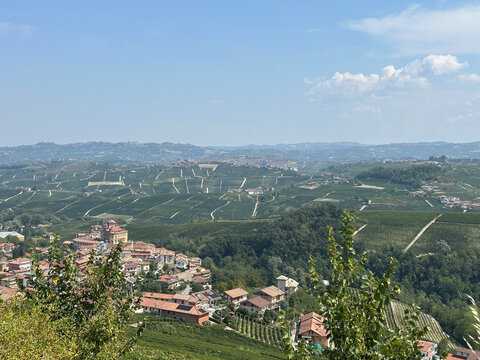 Barolo

