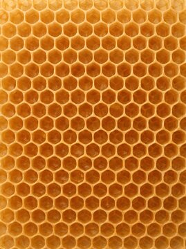 Macro view of a natural bee honeycomb in a vertical potrait orientation displaying organic hexagonal patterns for website backgrounds, food packaging design, and health branding.