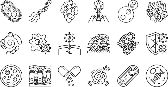 Microbiology and Virology Line Icon Set Featuring Bacteria Virus Bacteriophage Amoeba Infection Cell Immunity Shield DNA Capsule Pill and Laboratory Science Elements