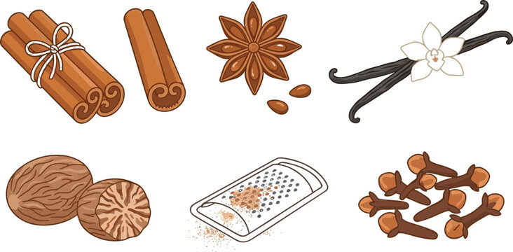 Baking Spices Vector Icon Set Featuring Cinnamon Sticks Star Anise Vanilla Bean Pod Flower Nutmeg Grater and Whole Cloves for Kitchen Dessert Recipes