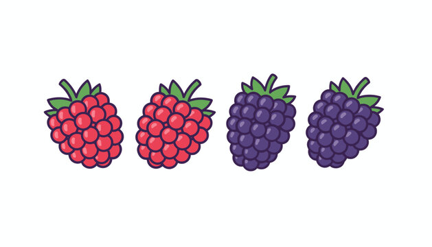Flat cartoon illustration of two red raspberries and two dark purple blackberries in a row on a white background.
