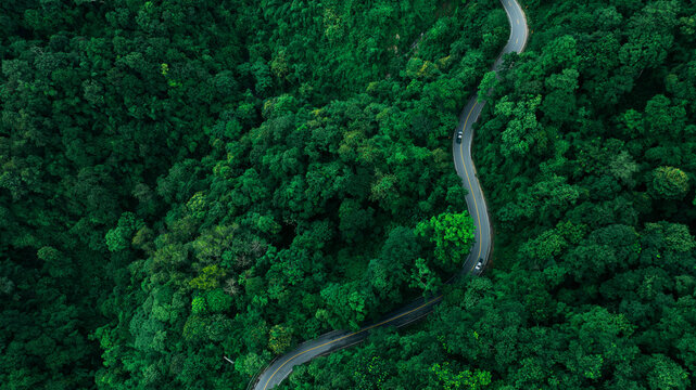 Aerial Forest Road Through Tropical Landscape for ESG Sustainability and Net Zero Strategy