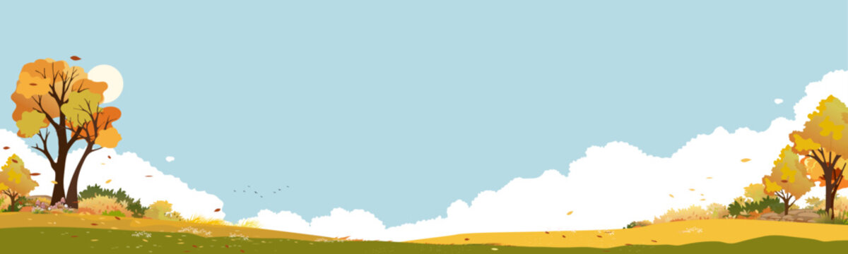 Autumn Landscape and Fall Tree on Blue Sky, Cloud Background. Nature Scene With Orange Forest, Grass And Sun, Vector Horizon Nature Illustration village Grass Fields, Seasonal Design Colorful Scenery