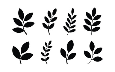 Obraz premium Botanical tree branch leaves silhouettes set vector illustration isolated on white background for natural organic floral decoration graphic design
