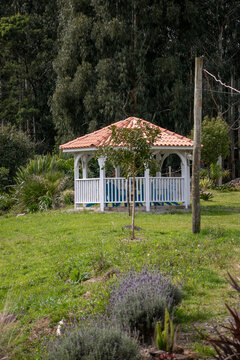 casa, ajardinar, arquitectura, constru&ccedil;&atilde;o, em casa, parque, natureza, relva, &aacute;rvore, de madeira, paisagem, madeira, aldeia, ver&atilde;o, velho, bangal&ocirc;, c&eacute;u, telhado, tradicional, rural, molhar, viagem, arb