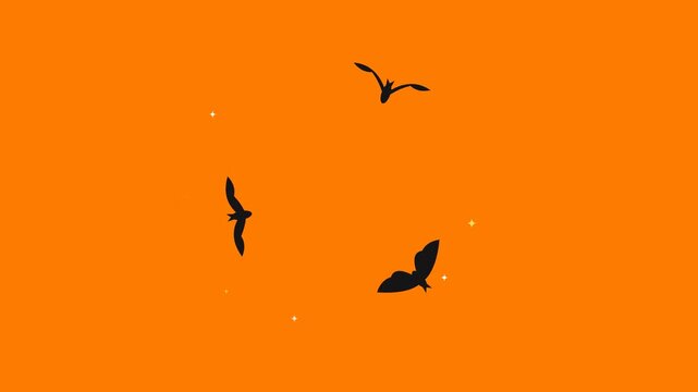 Three black bird silhouettes flying in a circular pattern against a bright orange sky with subtle white specks.