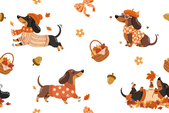 Cute autumn dachshund dogs wearing cozy sweaters and scarves with pumpkins leaves acorns picnic baskets and fall elements seamless pattern for seasonal fabric wrapping paper textile and wallpaper desi