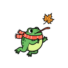 Fototapeta premium Frog wearing scarf catching falling autumn leaf.
