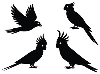 Fototapeta premium Black bird silhouettes depict various poses against a white background