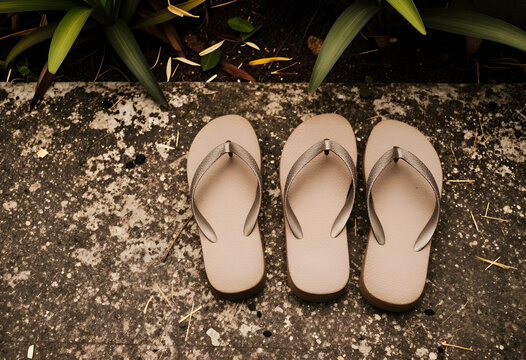 Summer vacation and relaxation concept, three pairs of flip-flops on a textured concrete ground with green plants