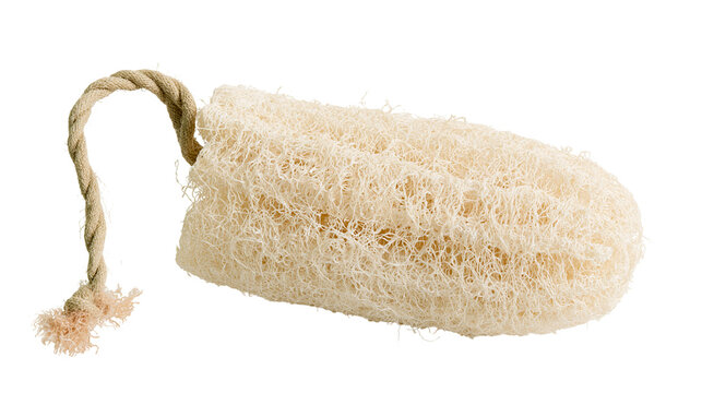 Natural loofah sponge with rope handle for scrubbing