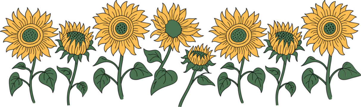 Sunflower border vector illustration, yellow summer flower seamless pattern element i