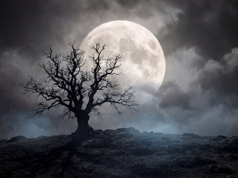 Bare tree silhouette against full moon in cloudy night sky