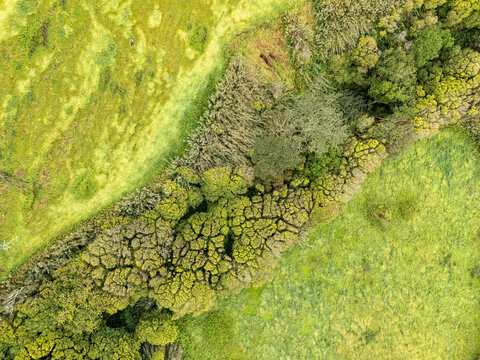 Aerial view of the lush green landscape and dense vegetation near Miradouro de Santa Iria in Porto Formoso, Acores, Portugal.