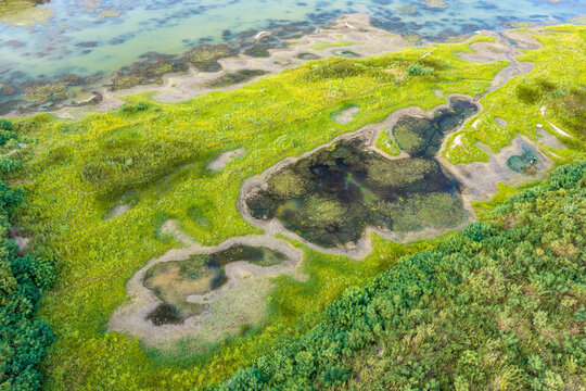 Aerial view of the lush green wetlands and marshy pools along the Drina river, featuring vibrant vegetation and natural water patterns in Crna Bara, Macva District, Serbia.