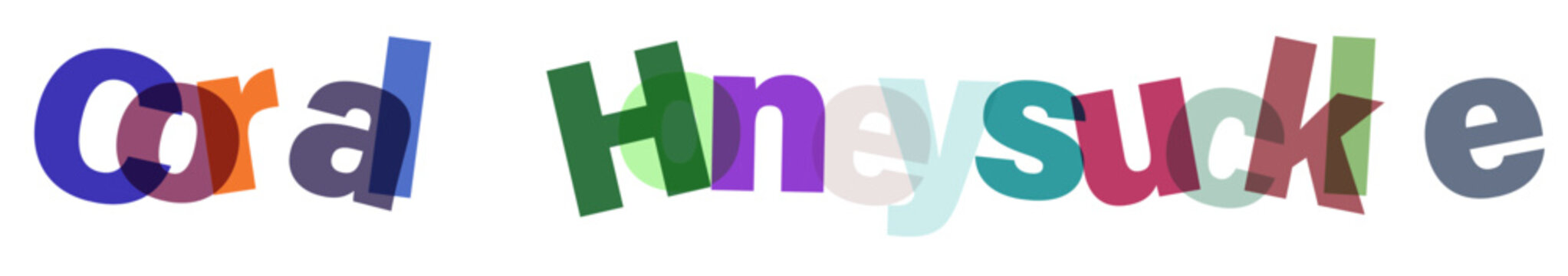 Colorful overlapping letter typography design featuring honeysuckle text with transparency effect isolated on checkered transparent background pattern.