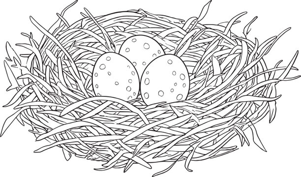 Hand Drawn Bird Nest with Spotted Easter Eggs Line Art Vector Illustration Isolated on White Background