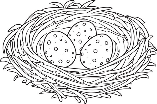 Hand Drawn Bird Nest with Spotted Easter Eggs Line Art Vector Illustration Isolated on White Background