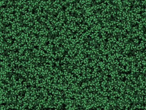 Seamless green bush leaves pattern. Realistic garden foliage texture, boxwood hedge background, natural tree leaf wall vector illustration. Public park and garden element