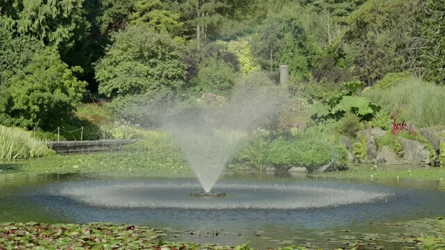 Water fountain spraying in a tranquil garden pond