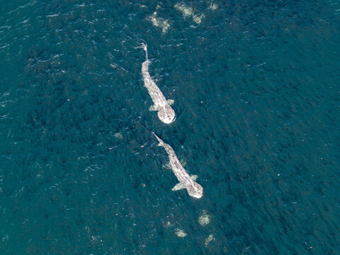Aerial view of Carrickfad by Portnoo in County Donegal - Ireland
