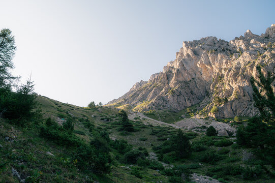 Paroi rocheuse et v&eacute;g&eacute;tation alpine dans le Queyras