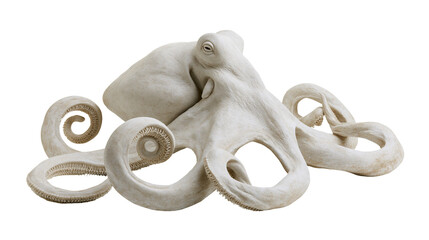 White octopus sculpture with curled tentacles © darietta