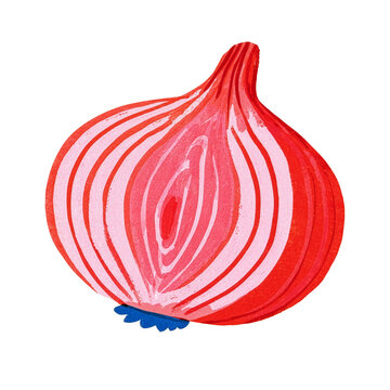 Flat illustration of a halved red onion showing layers