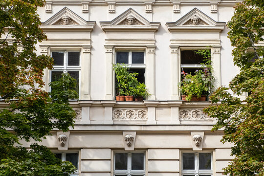 Plants on windowsills