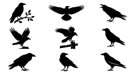 Naklejka premium Set of Detailed Crow and Raven Silhouettes in Various Poses for Nature and Gothic Design Projects