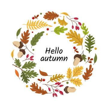 Hand drawn autumn wreath frame with colorful oak leaves, berries, fern, and acorns with Hello Autumn lettering text. Flat vector illustration isolated on white background.